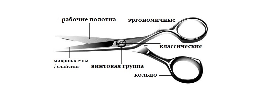 Выбор главного инструмента парикмахера – ножниц